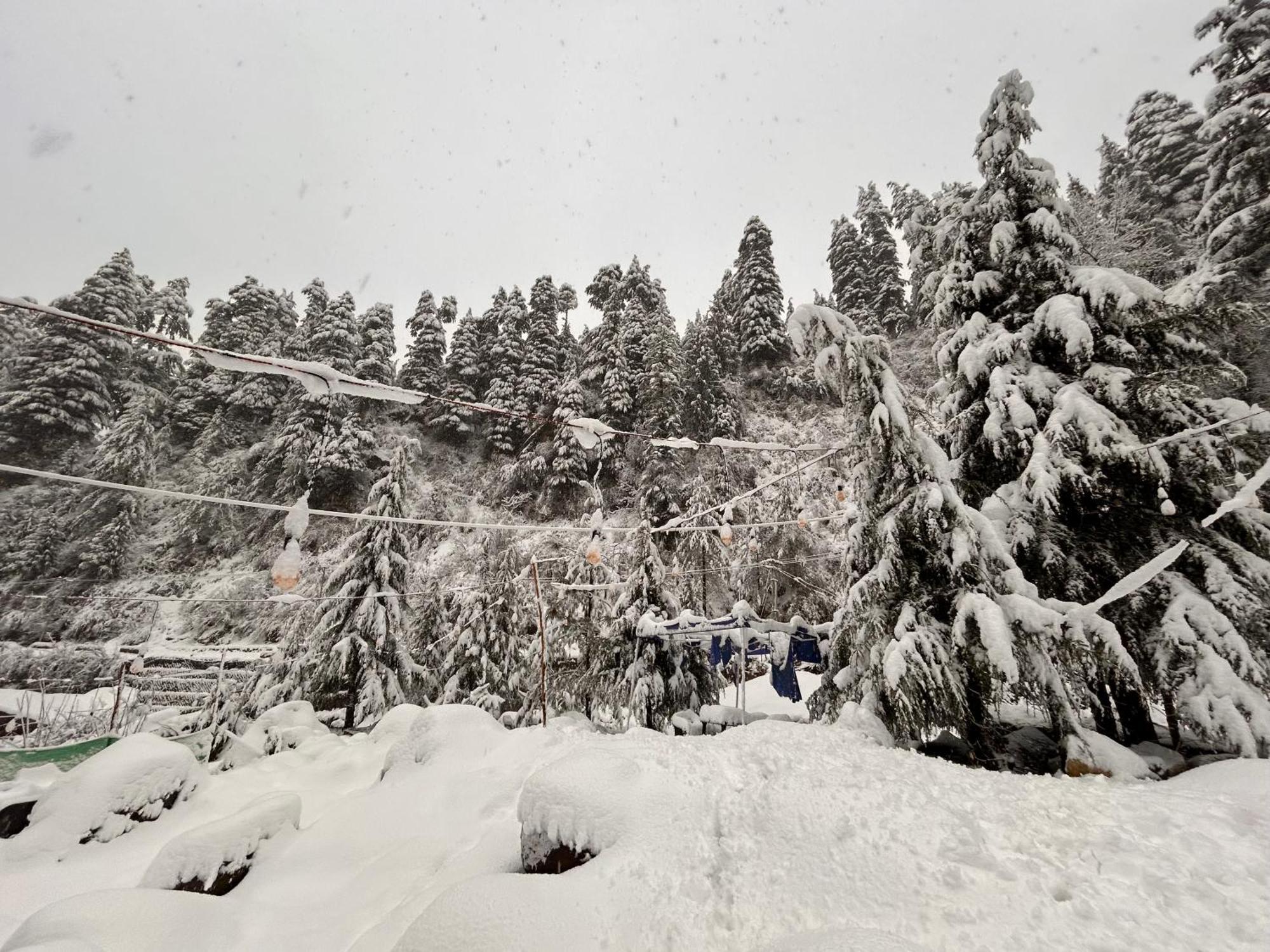 Hostel 360 Degree, Riverside Stay, Old Manali Manāli Exterior foto