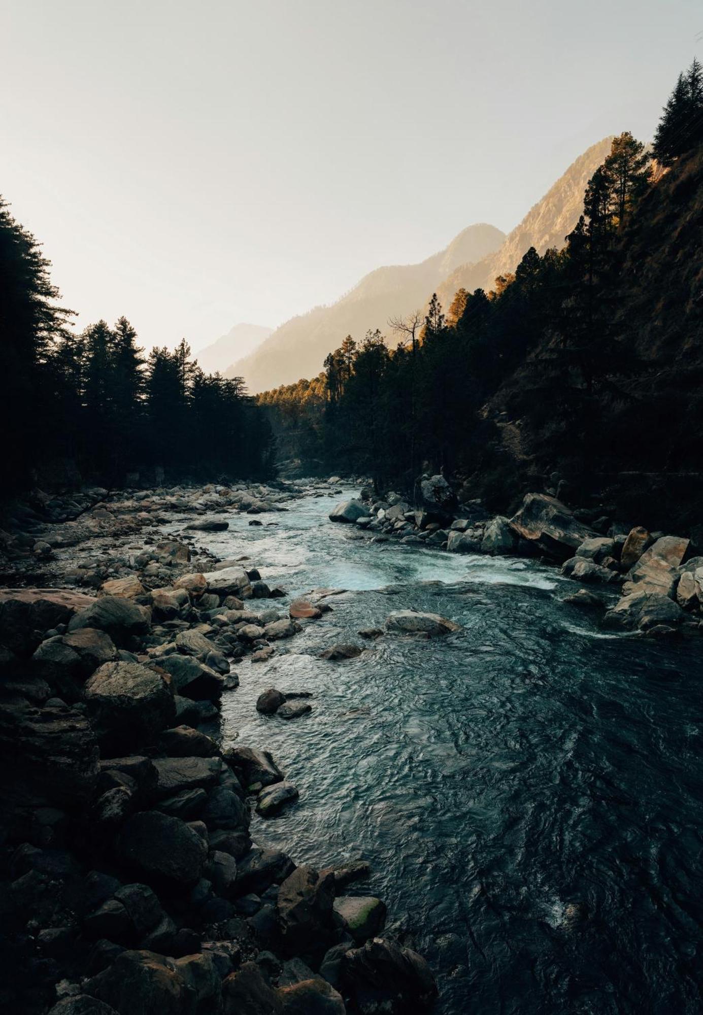 Hostel 360 Degree, Riverside Stay, Old Manali Manāli Exterior foto